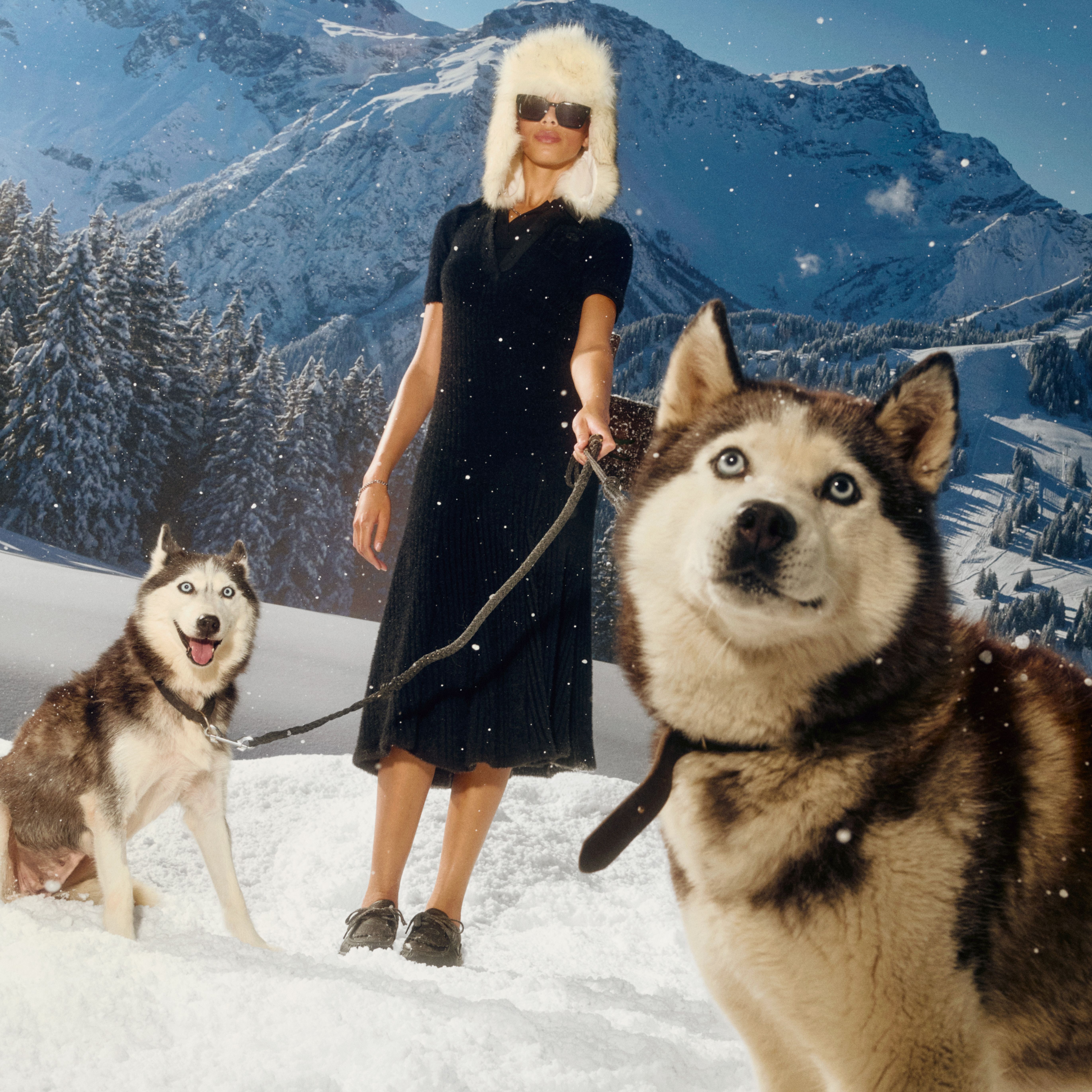 Зимняя сказка Lacoste