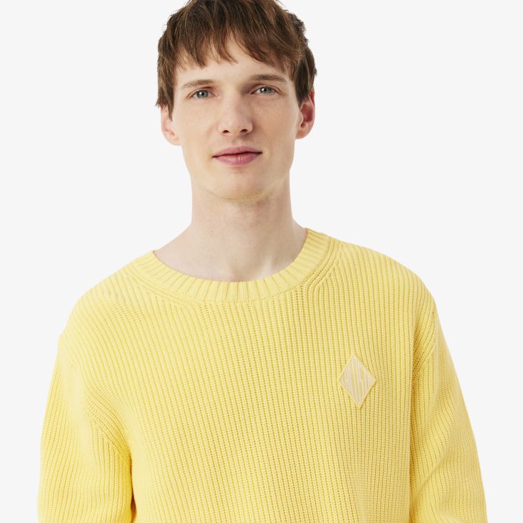 Мужской свитер Lacoste