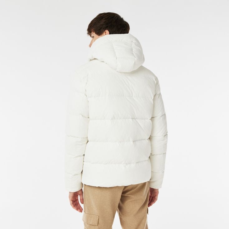 Мужская куртка Lacoste