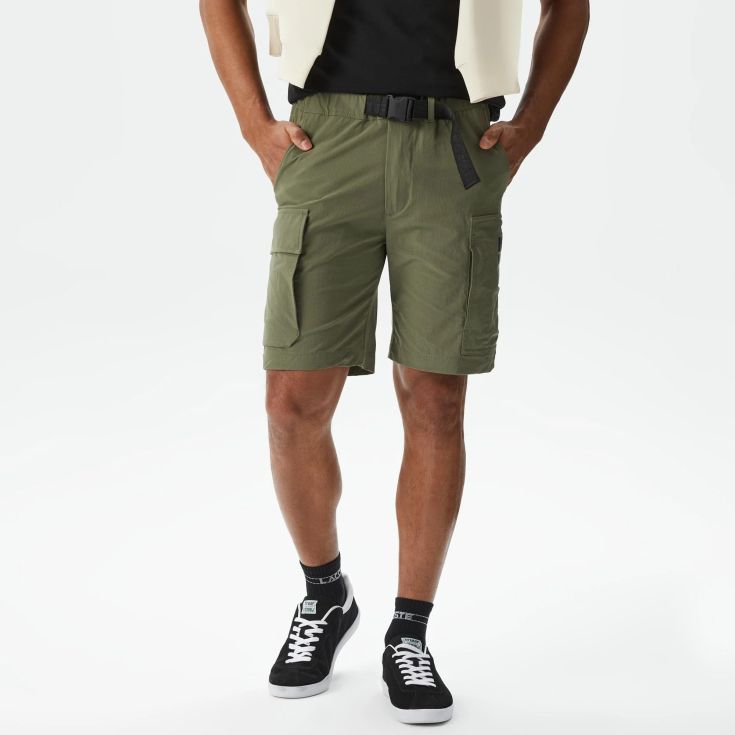 Мужские бермуды Lacoste