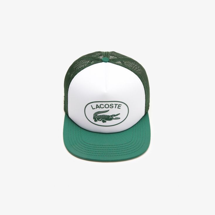 Мужская кепка Lacoste