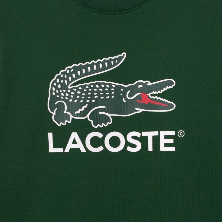 Мужская толстовка Lacoste