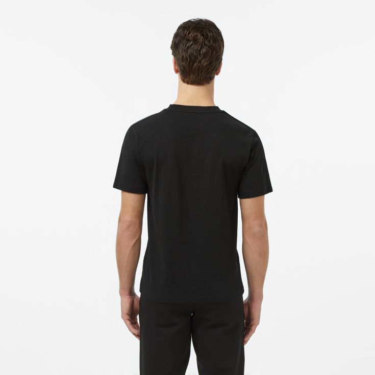 Мужская футболка Lacoste