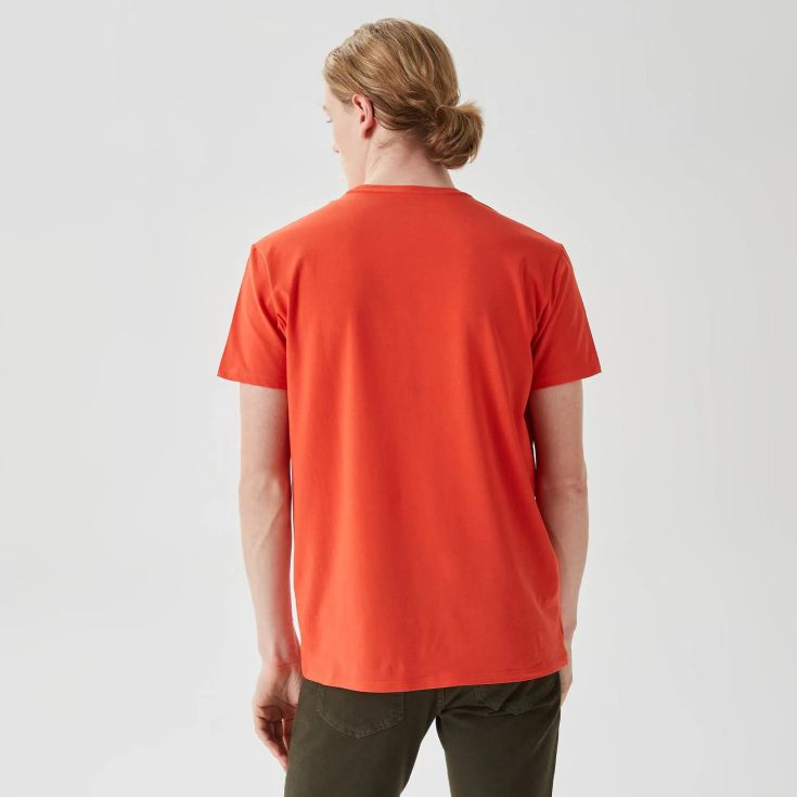 Мужская футболка Lacoste