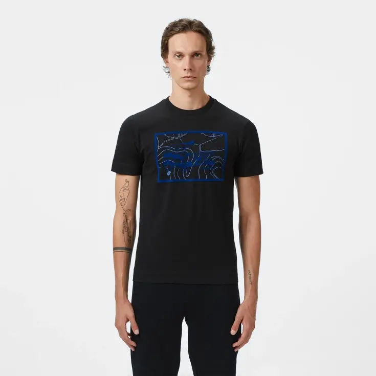 Мужская футболка Lacoste