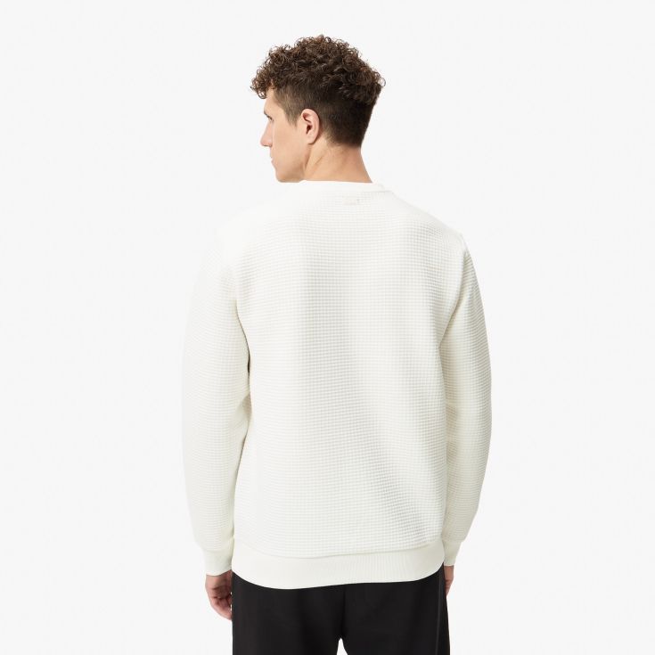 Мужская толстовка Lacoste