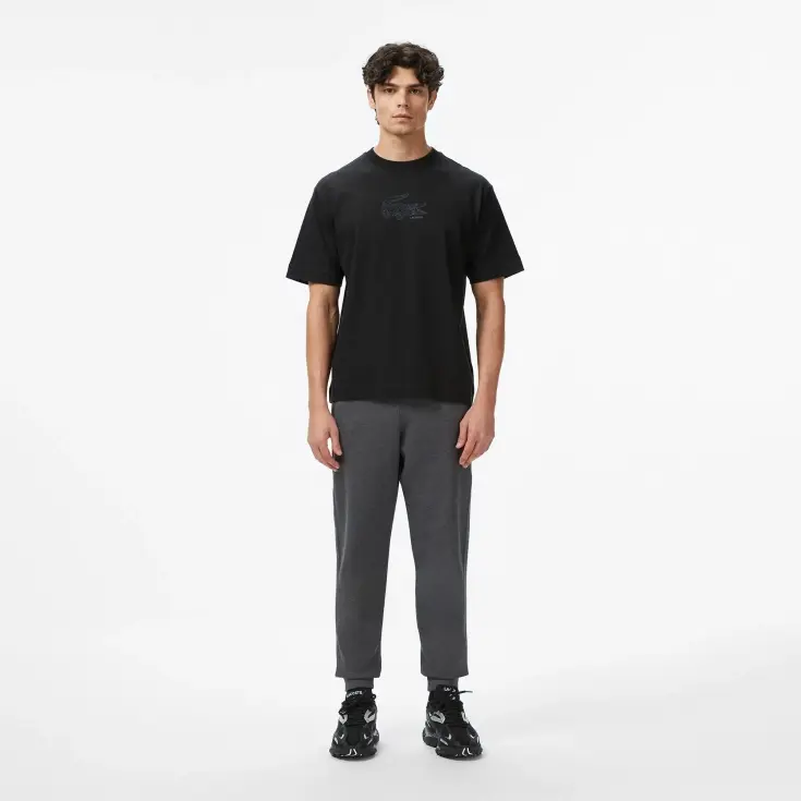 Мужские спортивные штаны Lacoste